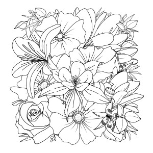 Раскраска цветочная иллюстрация роза ромашка георгина