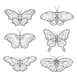 Раскраска набор из шести бабочек