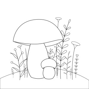 Раскраска эстетичные грибы на полянке