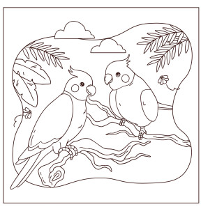 Раскраска два попугая на ветке