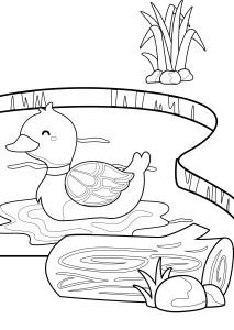 Раскраска утка в пруду с бревном