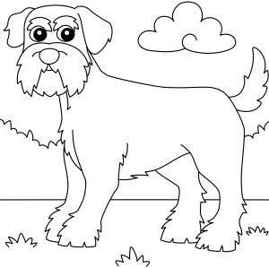 Раскраска собака шнауцер на поляне