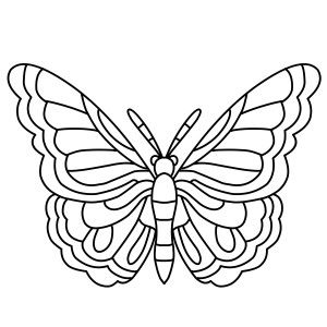 Раскраска симпатичные крылья бабочки