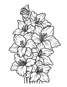 Раскраска букет цветов гладиолусы