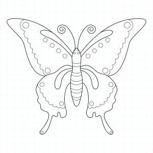 Раскраска крупная бабочка