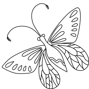 Раскраска очаровательная бабочка