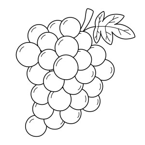 Раскраска гроздь сладкого винограда с листиком