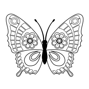 Раскраска силуэт бабочки с цветами на крыльях