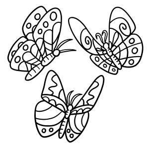 Раскраска три красивые бабочки