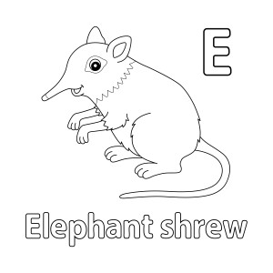 Раскраска буква E английского алфавита