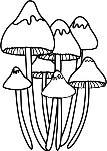 Раскраска поганка гриб