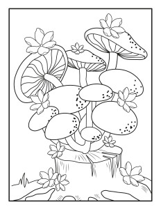 Раскраска грибы на пеньке с цветами