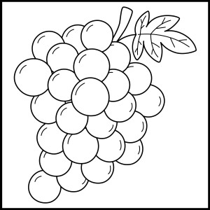 Раскраска ягоды винограда на ветке