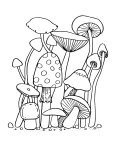 Раскраска разные грибы