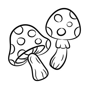 Раскраска осенние несъедобные грибы