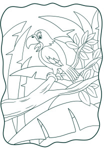 Раскраска попугай щебечет на стволе тропического дерева