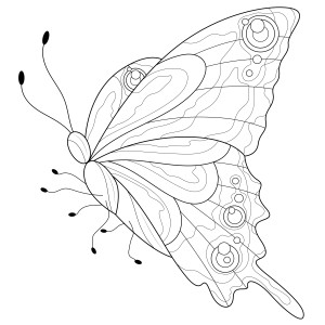 Раскраска узоры бабочки