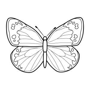 Раскраска бабочка с расправленными крыльями