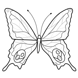 Раскраска прекрасная бабочка с длинными усиками