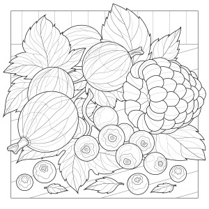Раскраска крыжовник с ягодами черники и малины