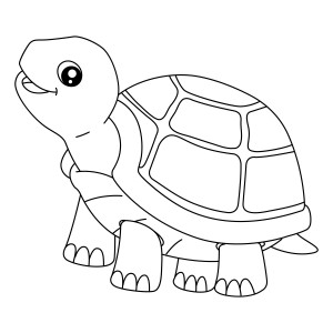 Раскраска животное черепаха