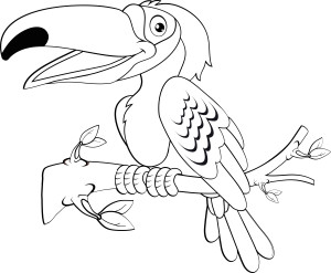 Раскраска экзотическая птица тукан на ветке
