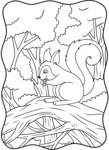 Раскраска белка грызет орешки сидя на ветке дерева в лесу