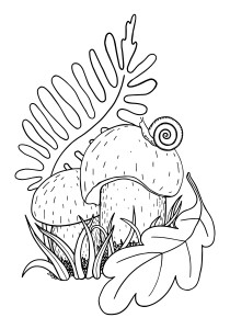 Раскраска съедобный гриб боровик с улиткой и листиками