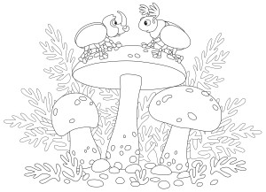 Раскраска съедобные грибы с большими шляпками и жуками
