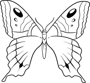 Раскраска необычная бабочка с узорами на крыльях