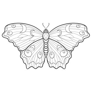 Раскраска бабочка сказочная