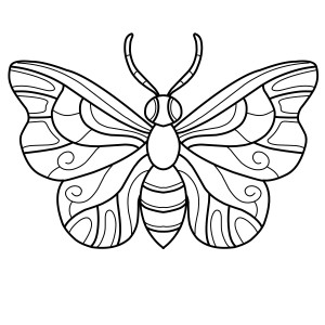 Раскраска насекомое бабочка с большими усиками