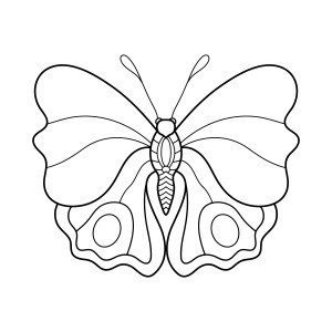 Раскраска бабочка капустница