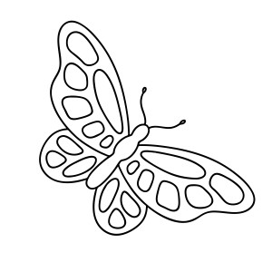 Раскраска простая бабочка с крыльями