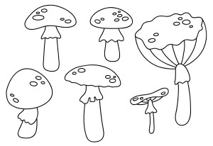 Раскраска набор грибочков