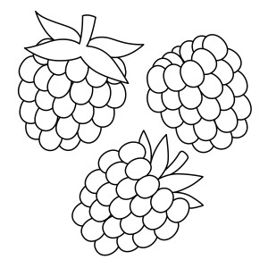 Раскраска три ягоды ароматной малины