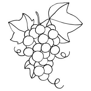 Раскраска виноградный лист и гроздь сочного винограда