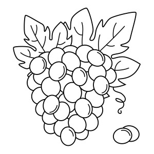 Раскраска спелая гроздь винограда и две ягодки