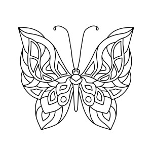 Раскраска бабочка с узорчатыми крыльями и длинными усиками