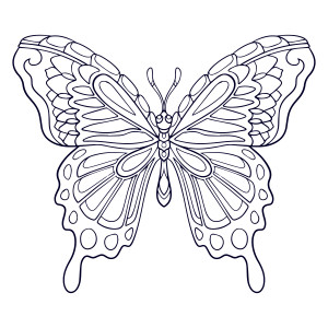 Раскраска бабочка с узорами мандола на крыльях