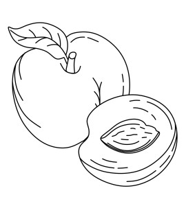 Раскраска персик с половинкой и косточкой