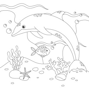 Раскраска дельфин «Магия подводного мира»